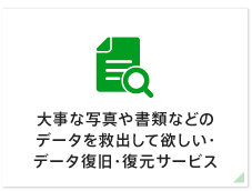 大事な写真や書類などのデータを救出、復旧してほしい・データ復旧・復元サービス